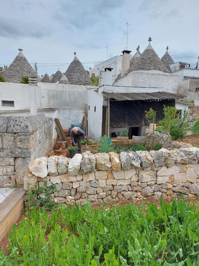 הוילה אלברובלו Il Trullo Di Giada E Mattia מראה חיצוני תמונה