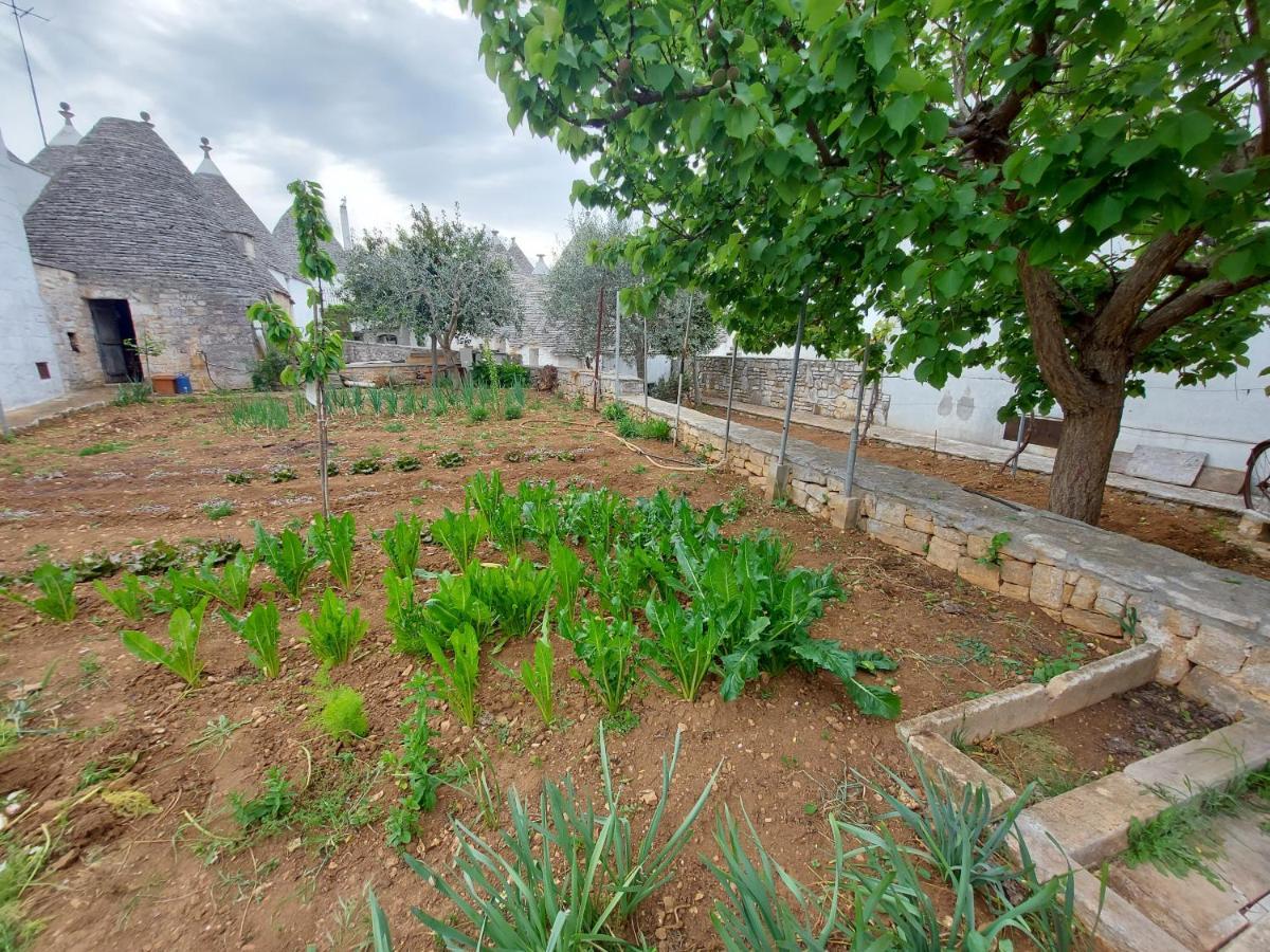 הוילה אלברובלו Il Trullo Di Giada E Mattia מראה חיצוני תמונה
