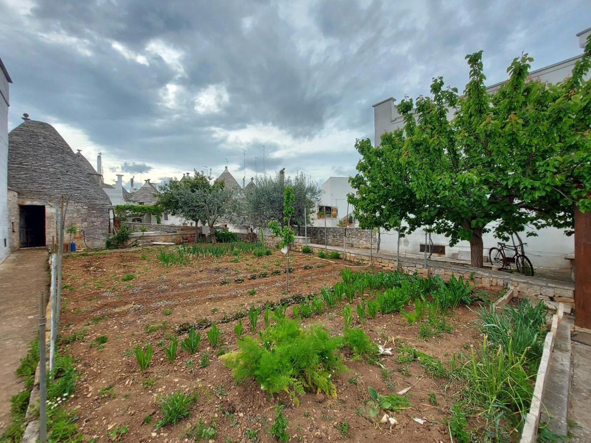 הוילה אלברובלו Il Trullo Di Giada E Mattia מראה חיצוני תמונה