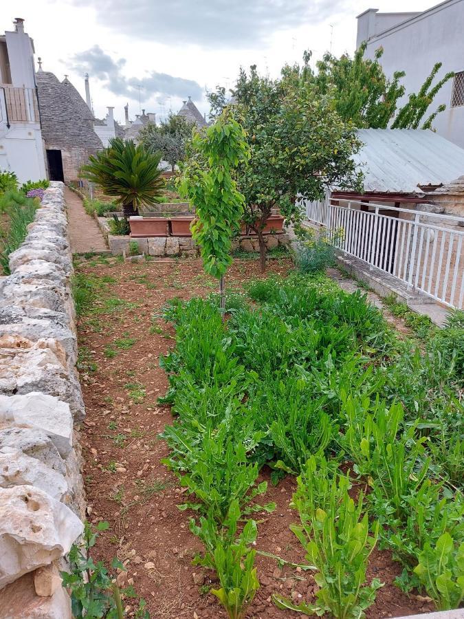 הוילה אלברובלו Il Trullo Di Giada E Mattia מראה חיצוני תמונה