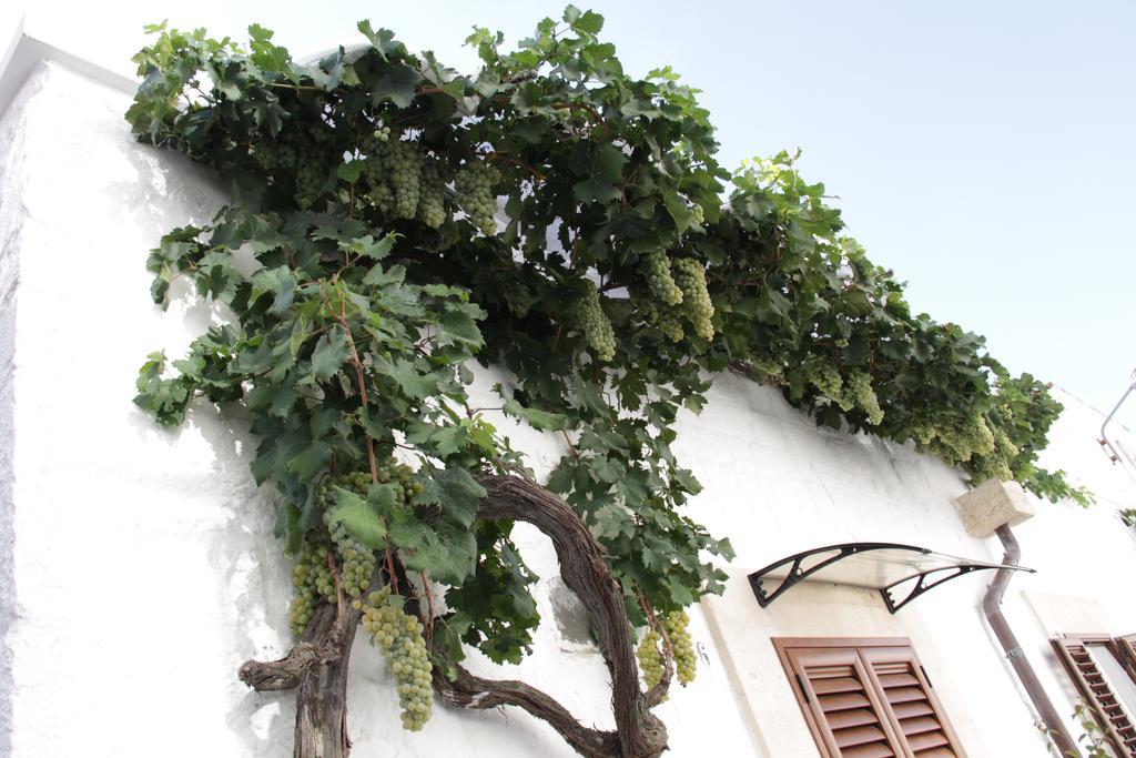 הוילה אלברובלו Il Trullo Di Giada E Mattia מראה חיצוני תמונה
