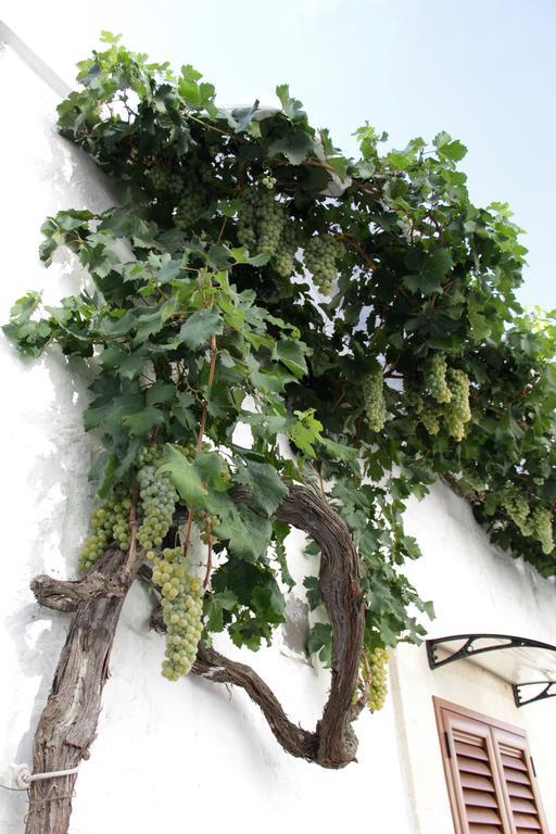 הוילה אלברובלו Il Trullo Di Giada E Mattia מראה חיצוני תמונה